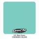 Eternal Ink - Mint Green 30ml